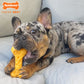 Nylabone Power chew Long Lasting Cheese Flavor Bone Dog Toy
