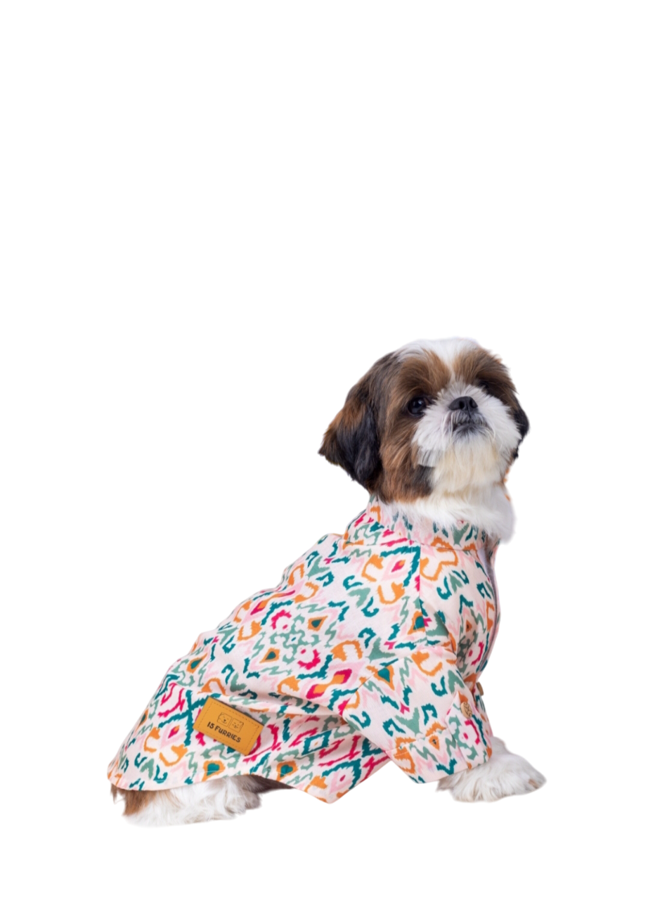 15 Furries Rangeela Dog Kurta