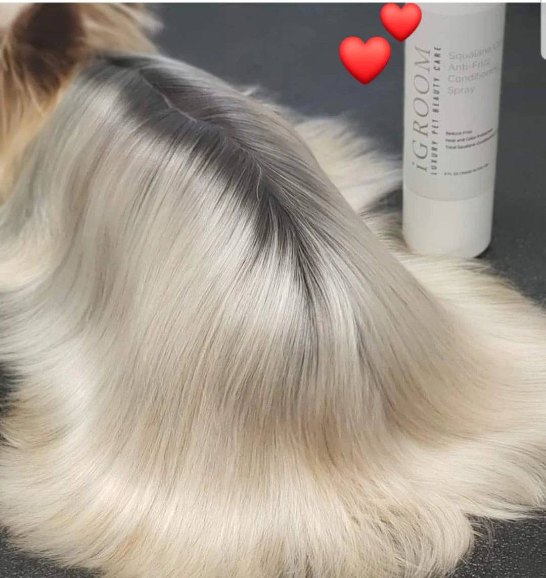 iGroom Squalane Antifrizz Conditioning Pet Spray 177ml