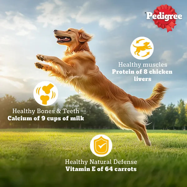 Pedigree Vegetarian & Sustainable Dry Food For Dogs & Puppy