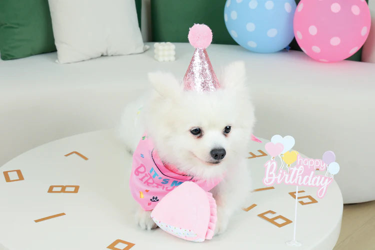 M-Pets Party Time Lady's Set