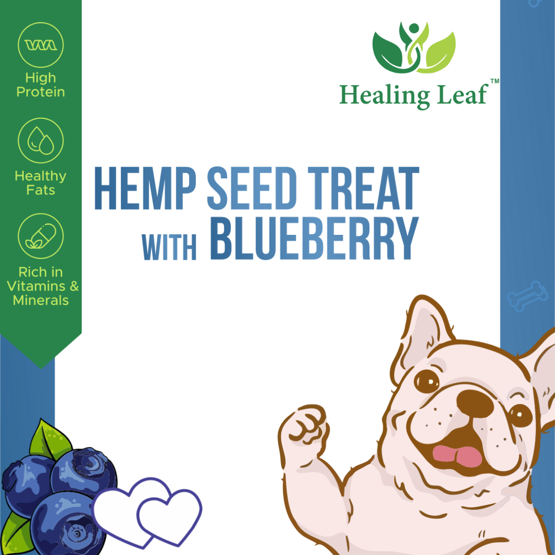 Healing Leaf Hemp Seed Vegetarian & Sustainable Dog Treat with Blueberry 100gm