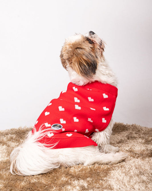 Pet Snugs Red Heart Sweater For Your Furry Friend