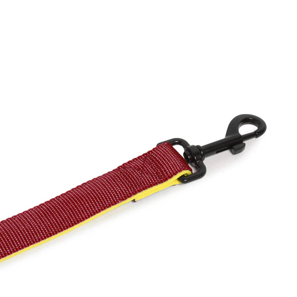 Basil Padded Leash For Dogs & Cats Maroon XL 4Ft & 3cm