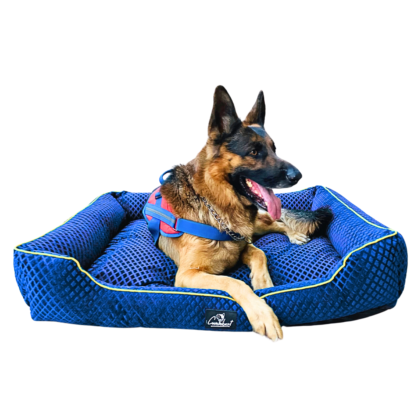 Caninkart Premium Pattern Lounger Bed Blue For Dogs