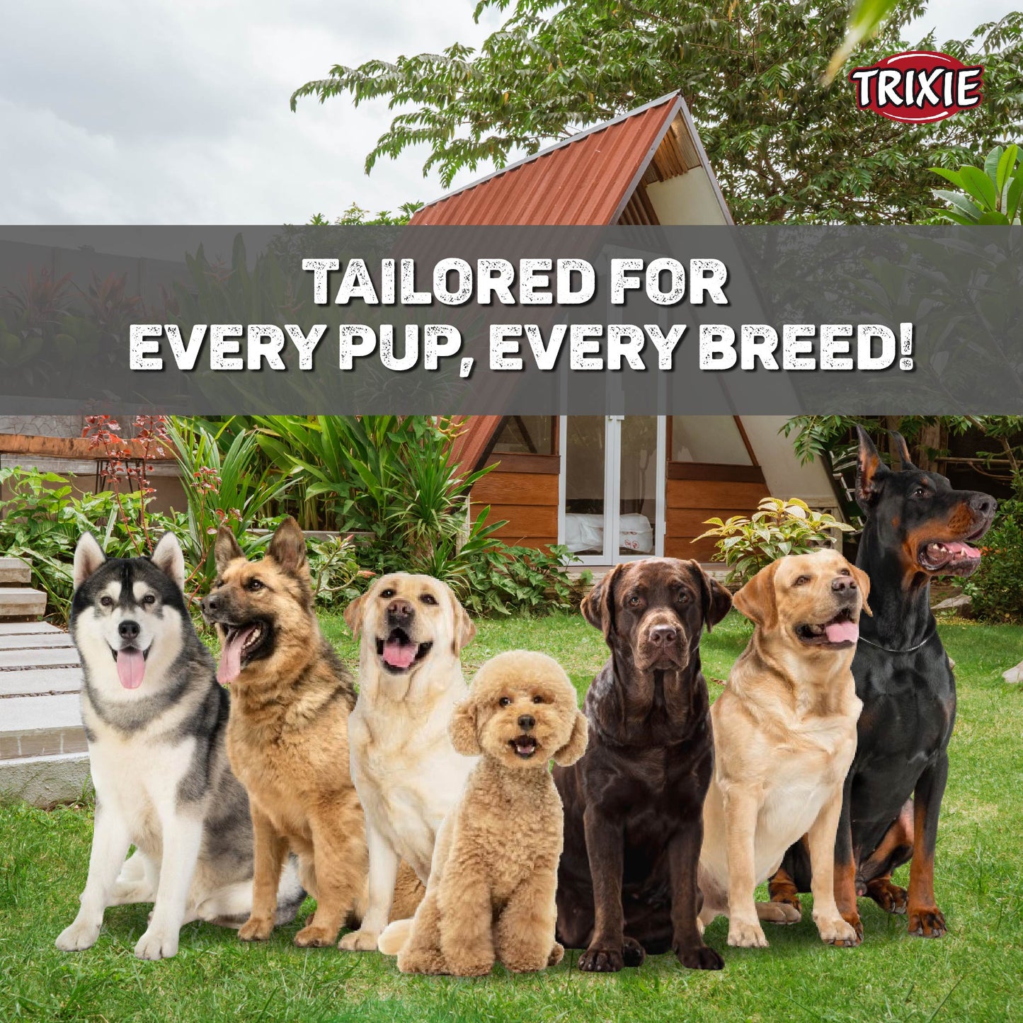 Trixie Premium Leash For Dog Black