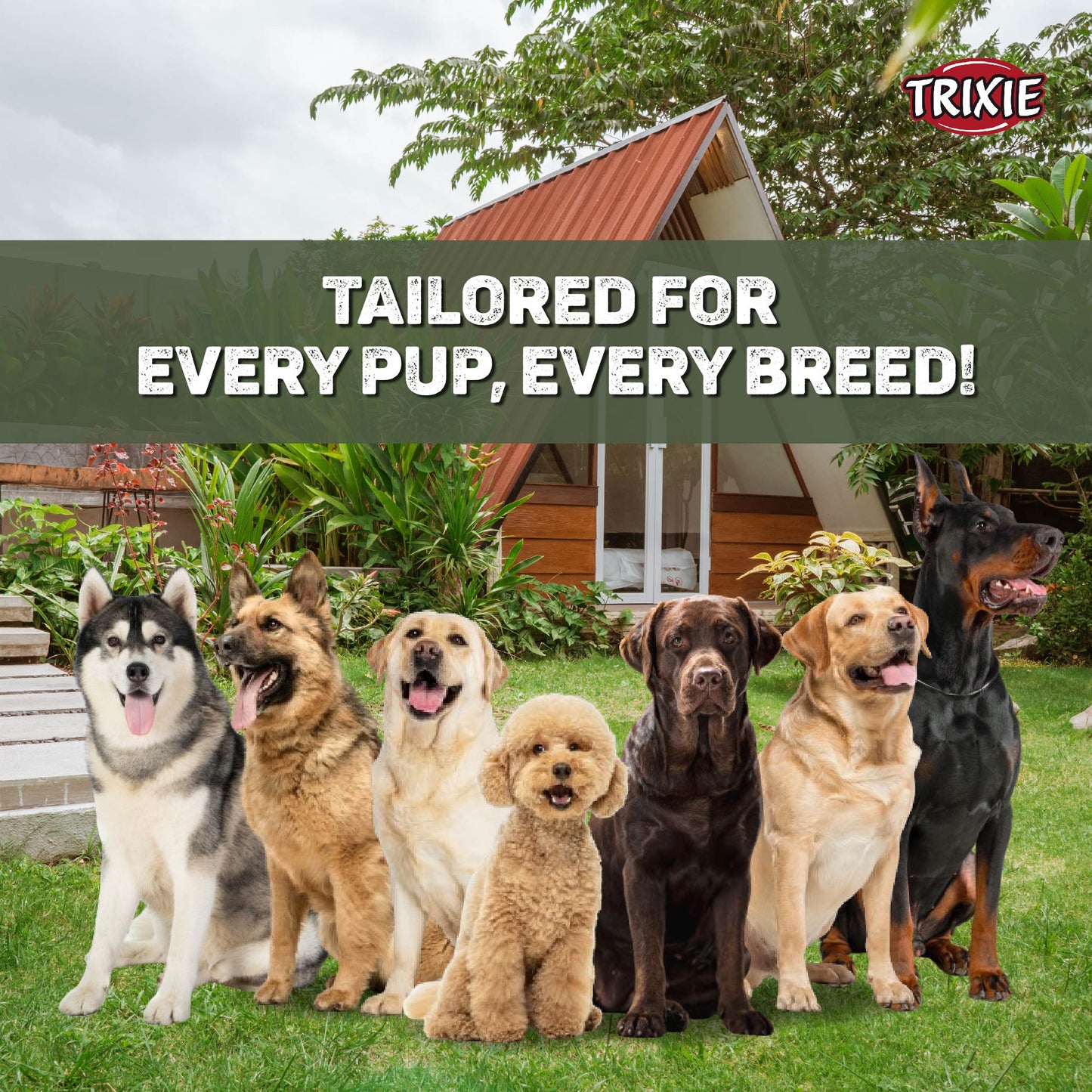 Trixie Premium Leash For Dog Forest Green XS-S 1.20m/15mm