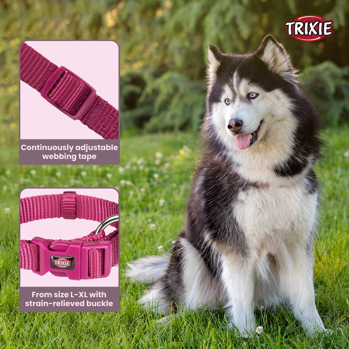 Trixie Premium Collar Orchid