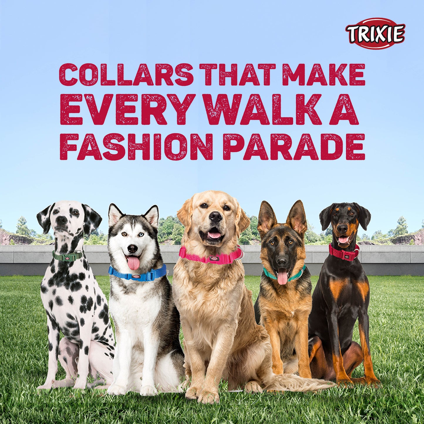 Trixie Premium Collar Mint L-XL 40-65cm/25mm