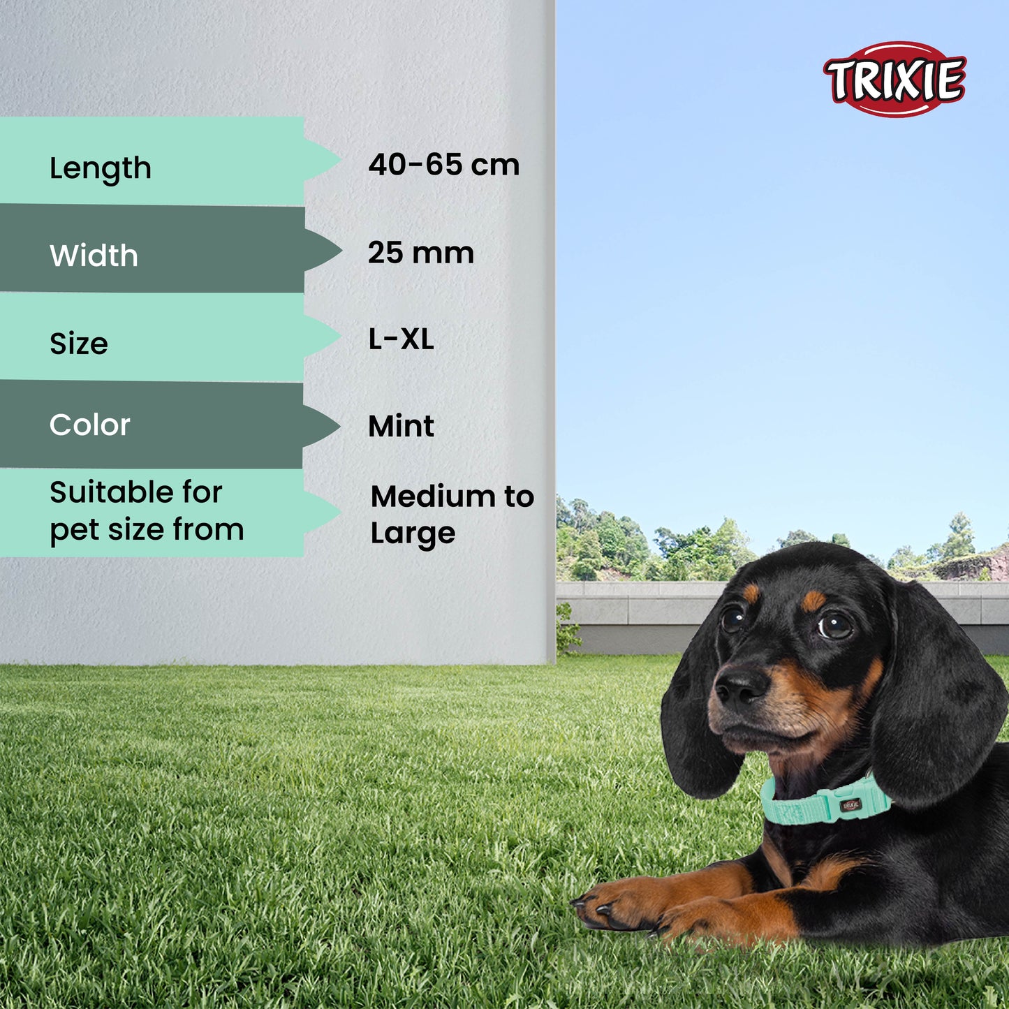 Trixie Premium Collar Mint L-XL 40-65cm/25mm