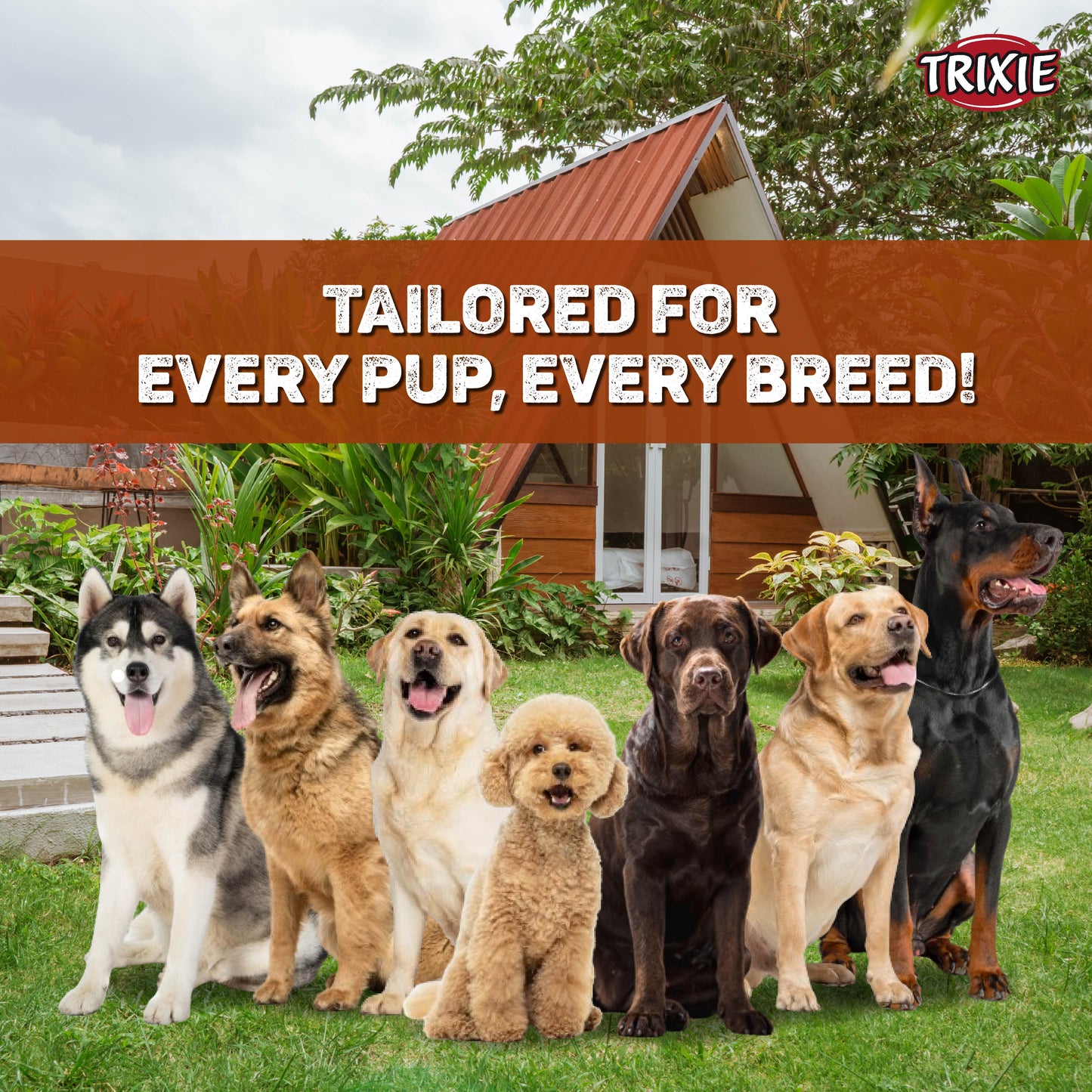 Trixie Premium Leash For Dog Papaya