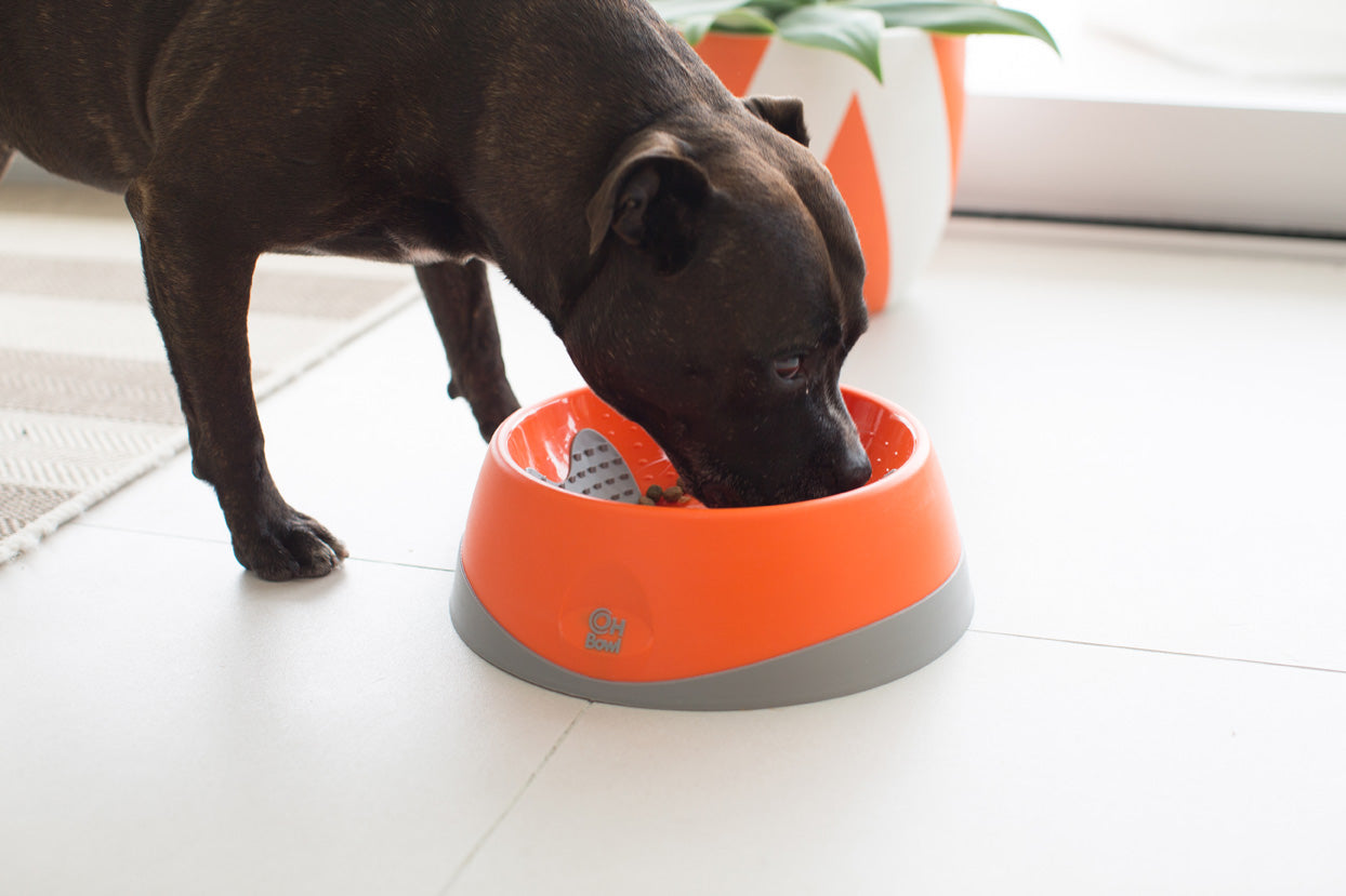 LickiMat OH Bowl For Dogs Large 1000ml
