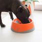 LickiMat OH Bowl For Dogs Medium 500ml