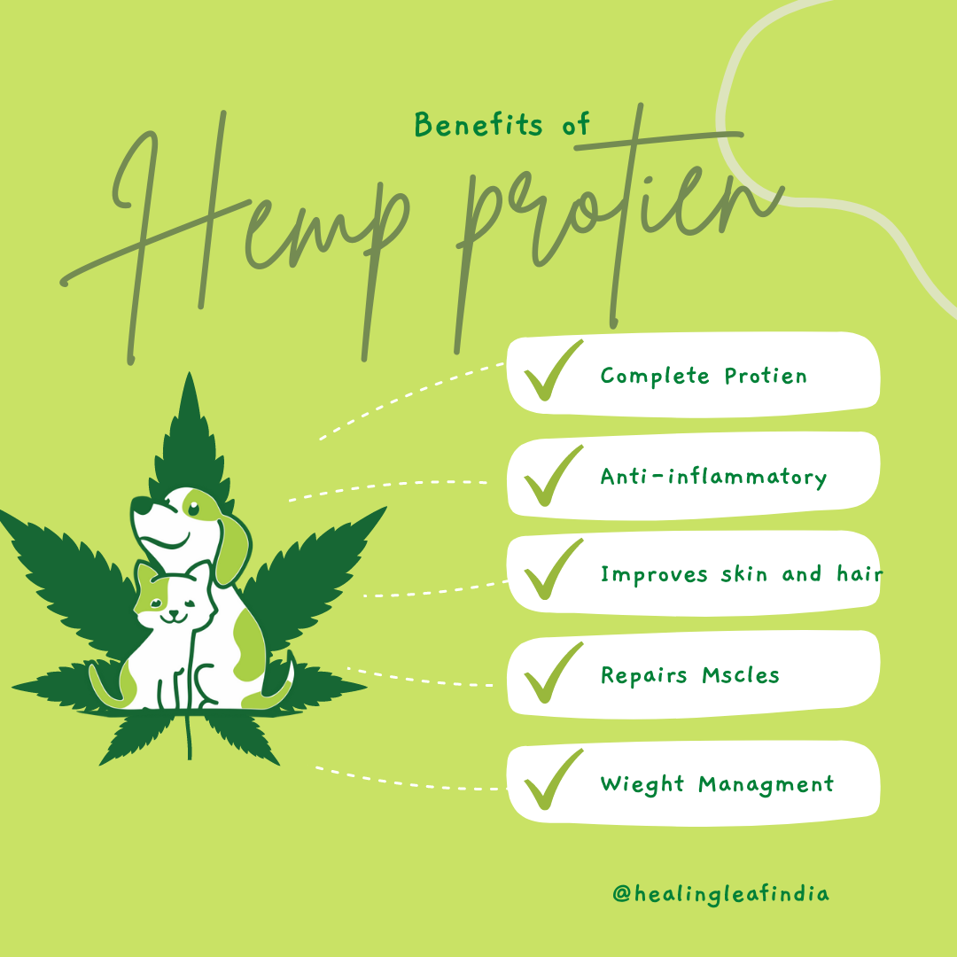 Healing Leaf Hemp Protein Powder Supplement Coat For Dogs & Cats 100gm