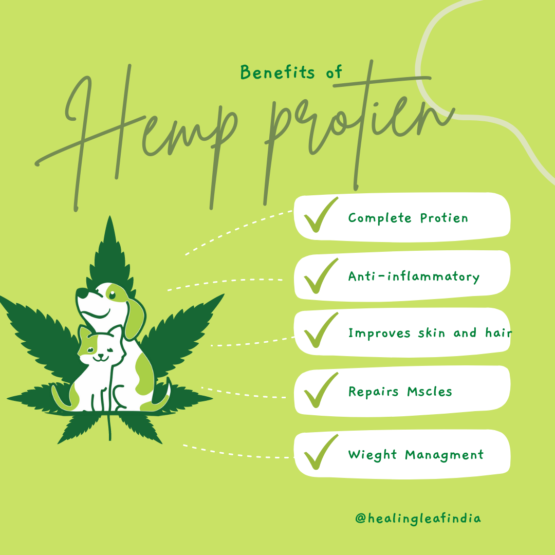 Healing Leaf Hemp Protein Vegan & Cruelty-free Powder Supplement Coat For Dogs & Cats 100gm