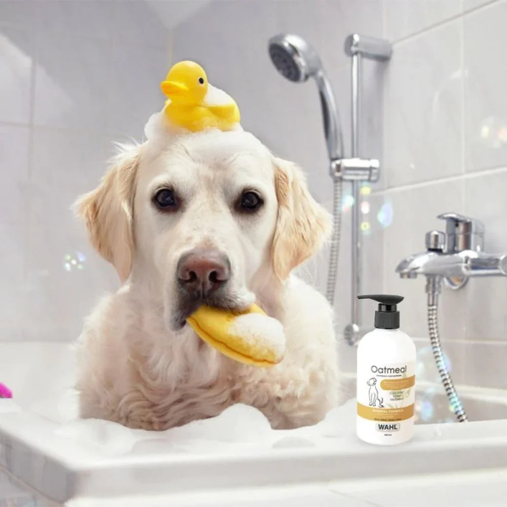 Wahl Oatmeal Shampoo for Dogs Coconut Lime Verbena