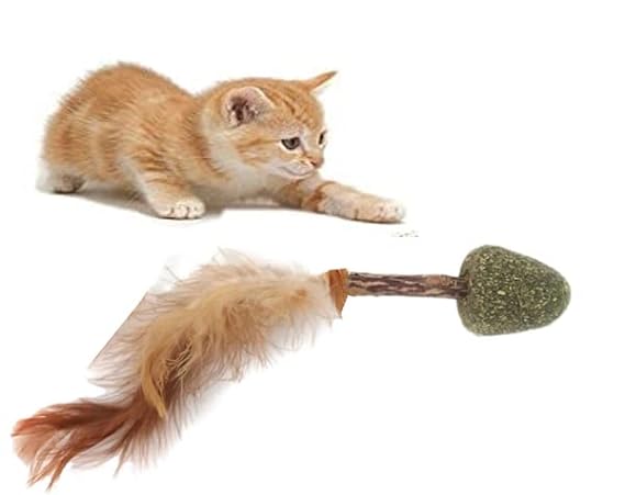 Smarty Pet Cork with Feathers Catnip Toy