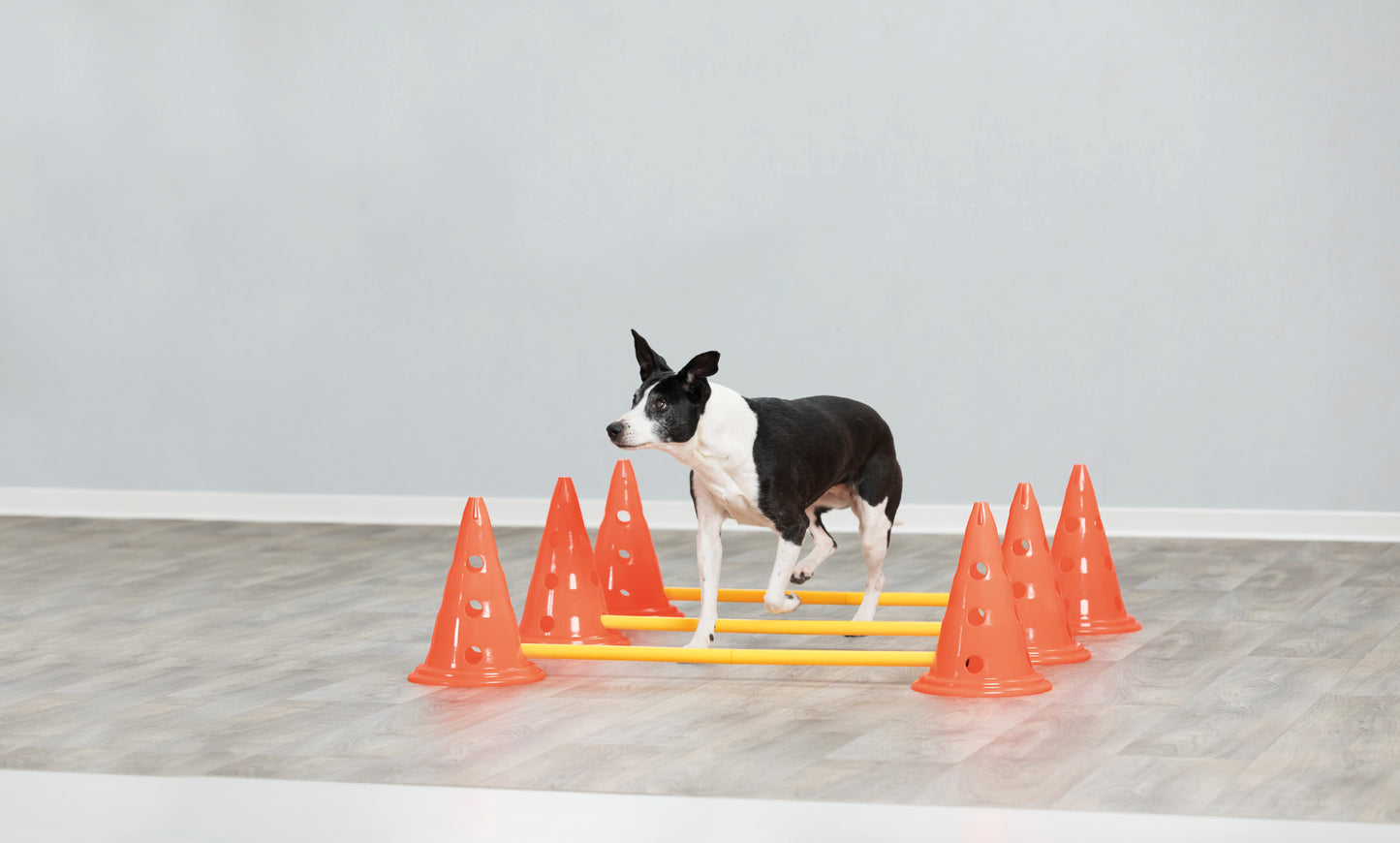 Trixie Dog Agility Obstacles (Pylon & Poles) Set  78cm/30x23cm