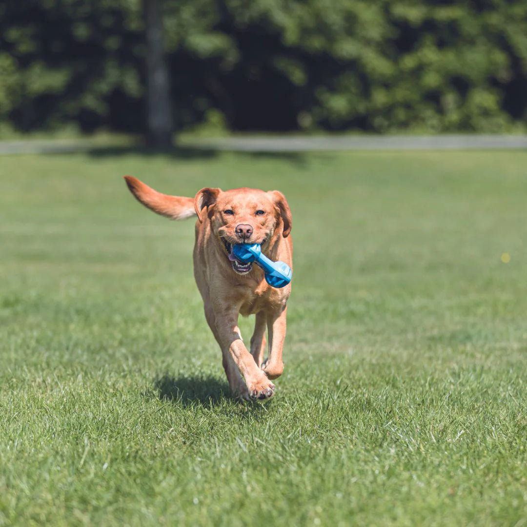 Trixie Cooling Dumbbell Toy For Dogs 18cm