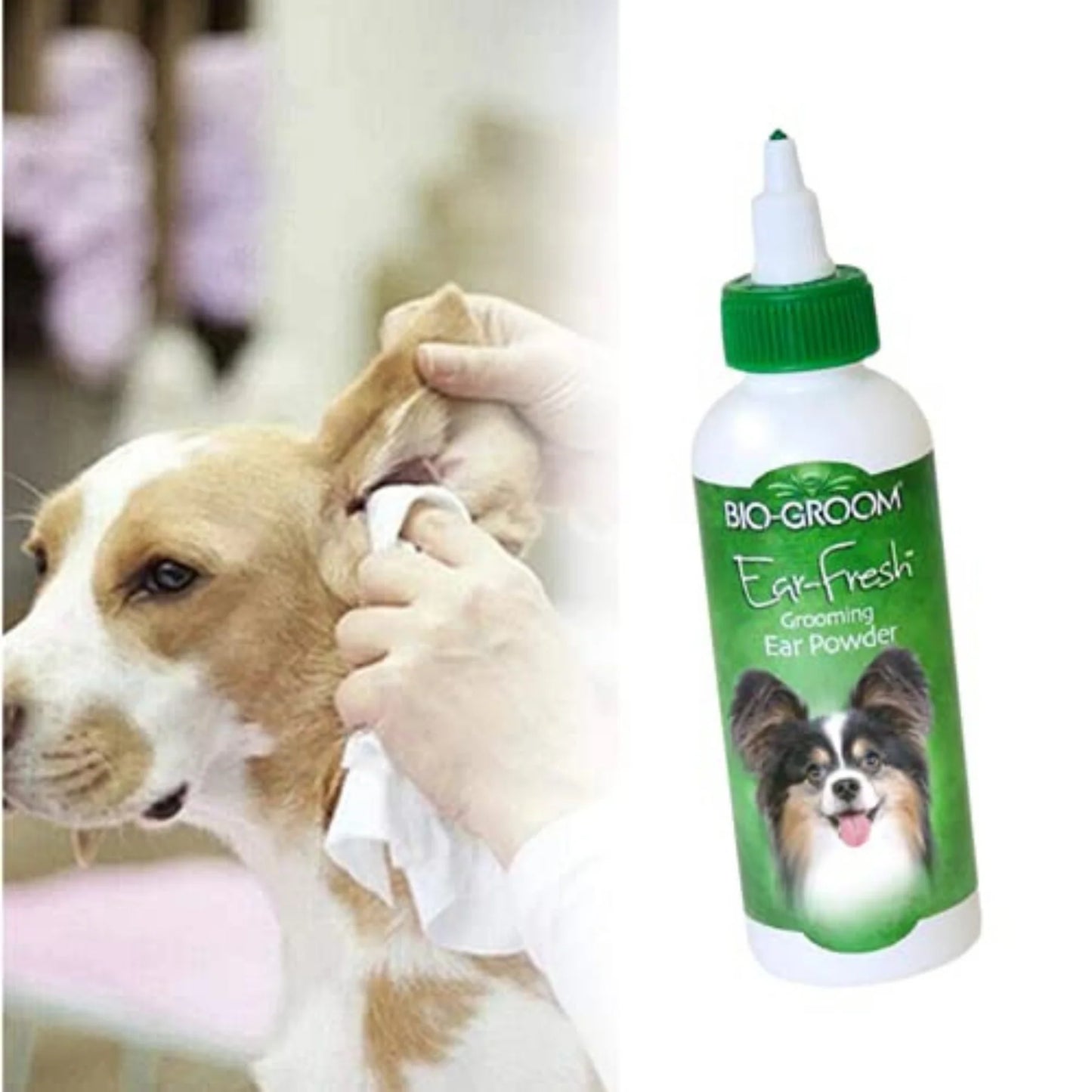 Bio-groom Ear Fresh Grooming Ear Powder for Dogs 24gm