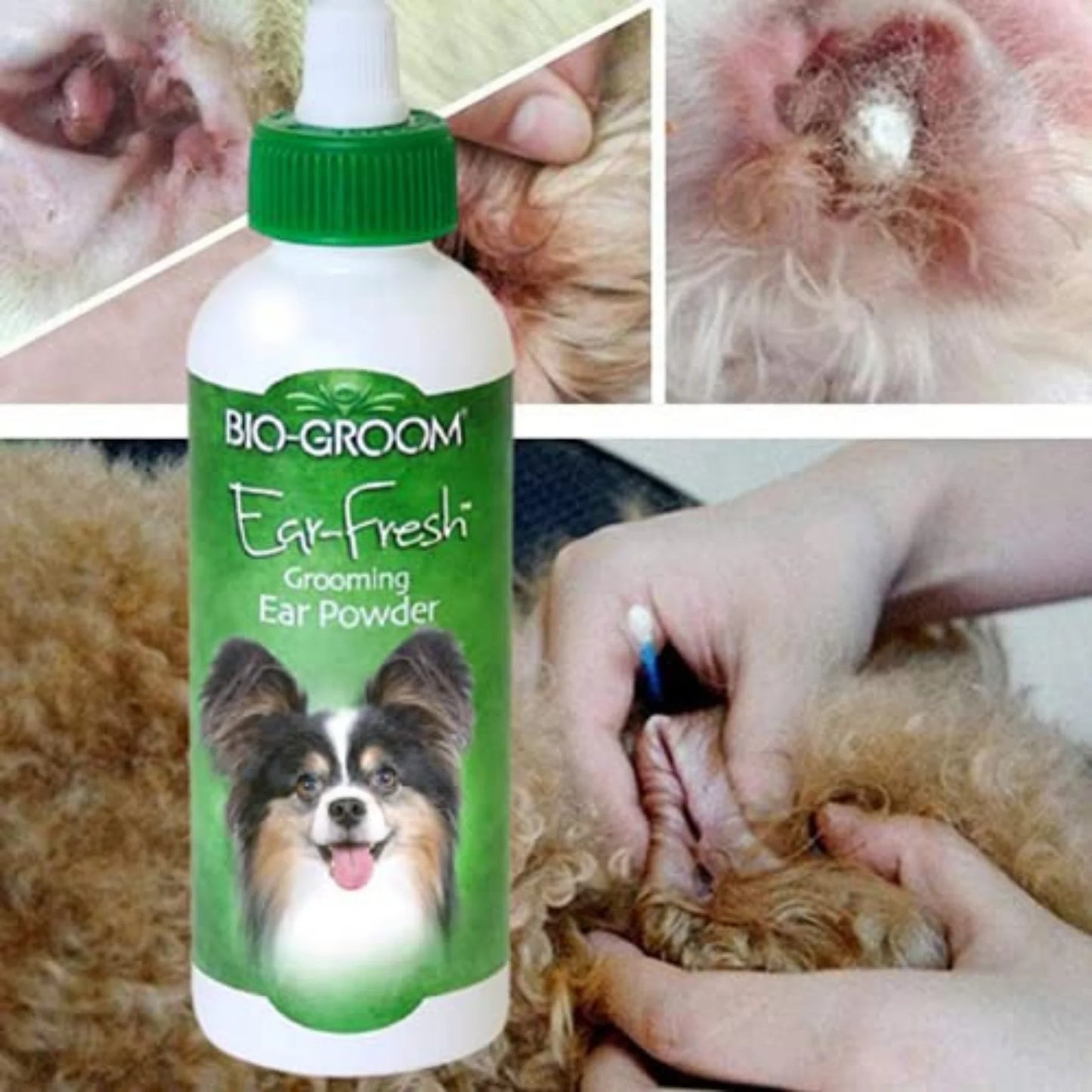Bio-groom Ear Fresh Grooming Ear Powder for Dogs 24gm