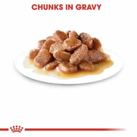 Royal Canin Sterilised Gravy Salsa Wet Food 85gm