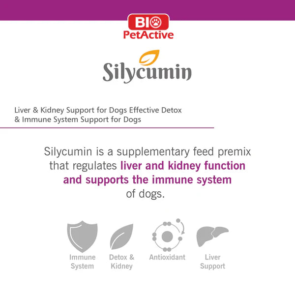 Bio Pet Active Silycumin For Kidney & Liver Support Dor Dog 45 Tablets