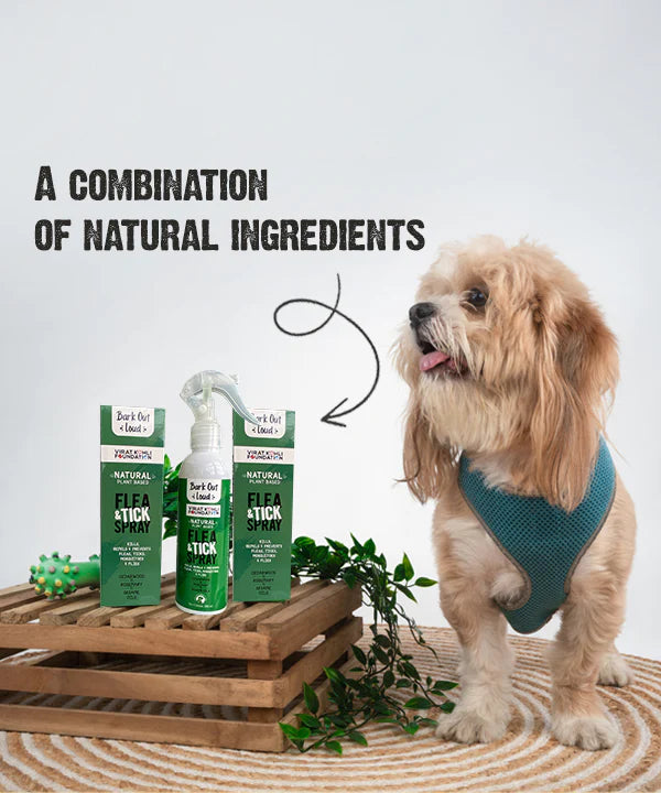 Vivaldis Bark Out Loud Natural Flea & Tick Spray Dogs and Cats 200ml