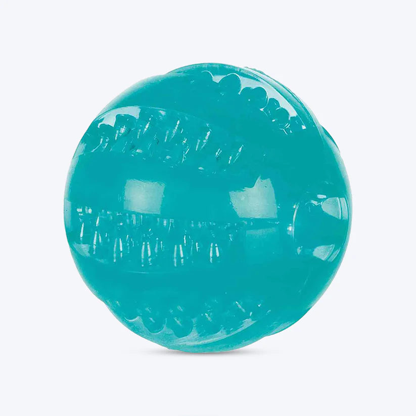 Trixie Denta Fun Ball Mint Flavour Toy For Dogs 6cm