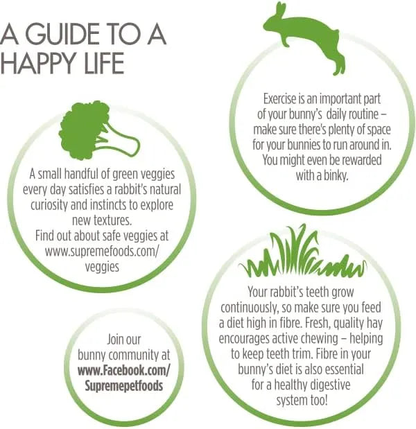 Science Selective Junior Rabbit Food 2kg