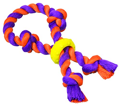 Petstages Mini Chew Starter Dental Dog Toy