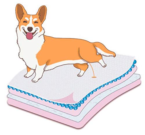 Goodies Training Pads for Dogs Super Absorbent Large 60x90 (25pcs)