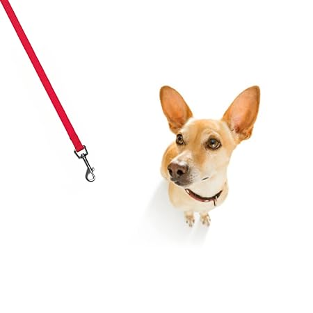 Trixie Classic Lead Red L/XL 1m-25mm