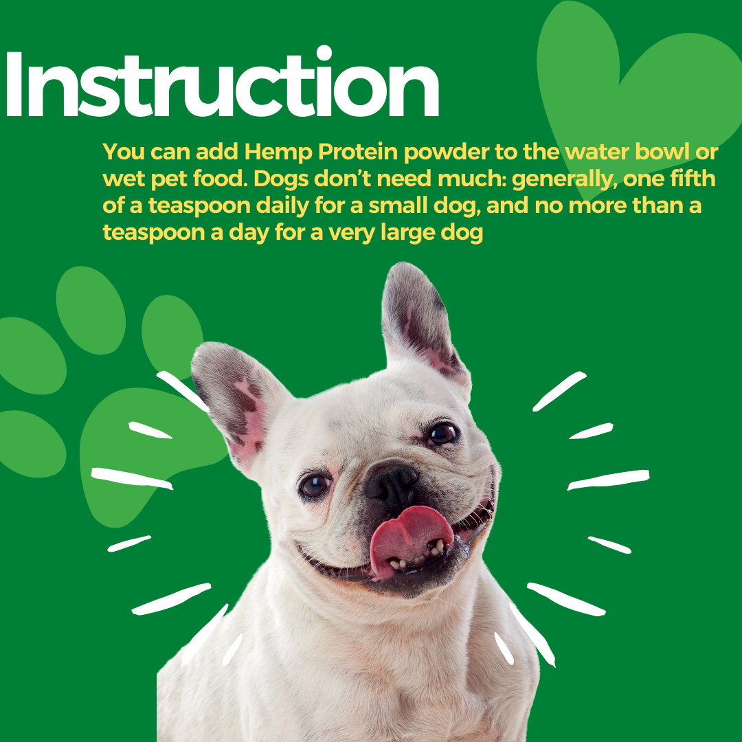 Healing Leaf Hemp Protein Powder Supplement Coat For Dogs & Cats 100gm
