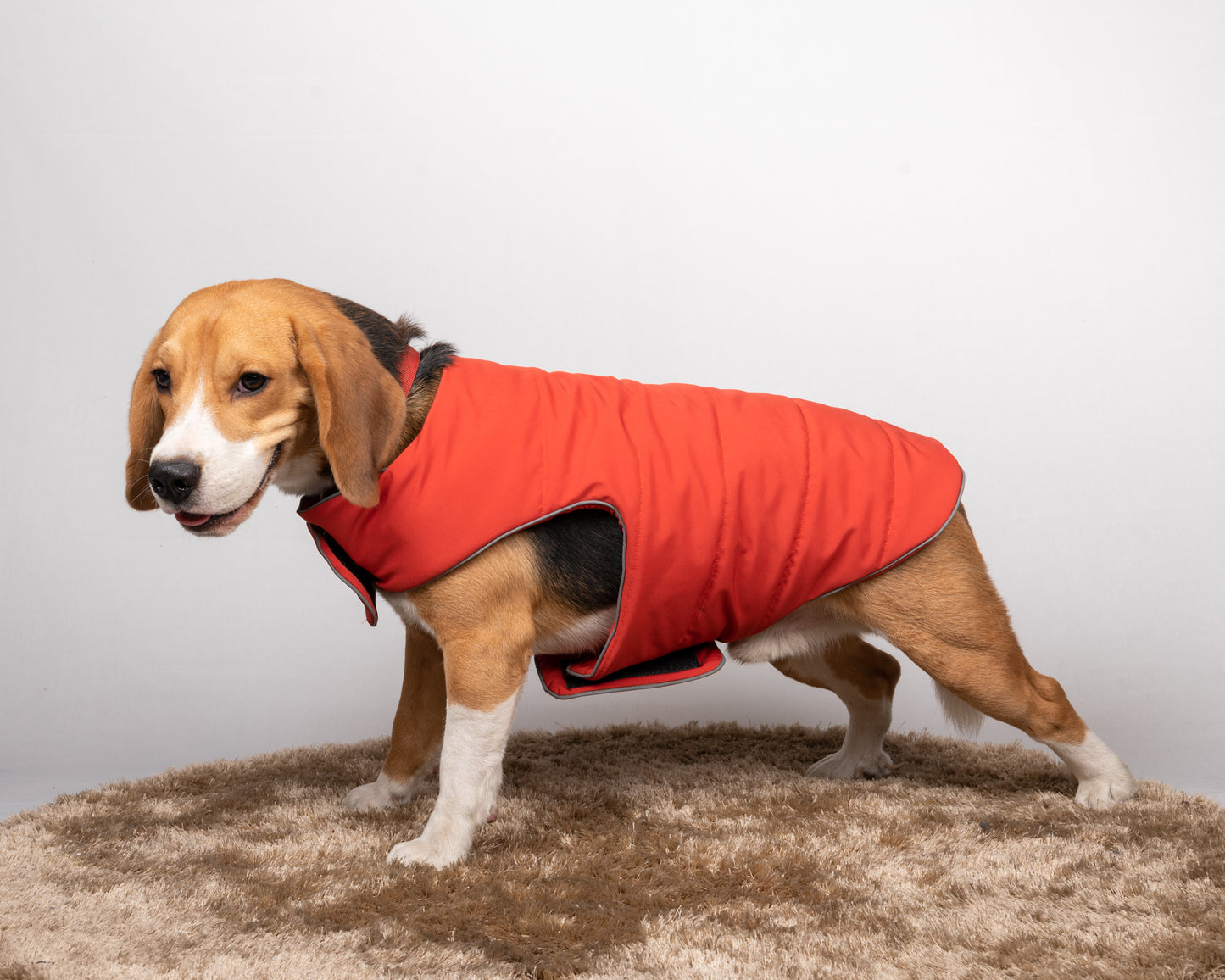 Pet Snugs Water-Resistant Top & Soft Cotton Lining Jacket For Your Furry Friend Rust Red