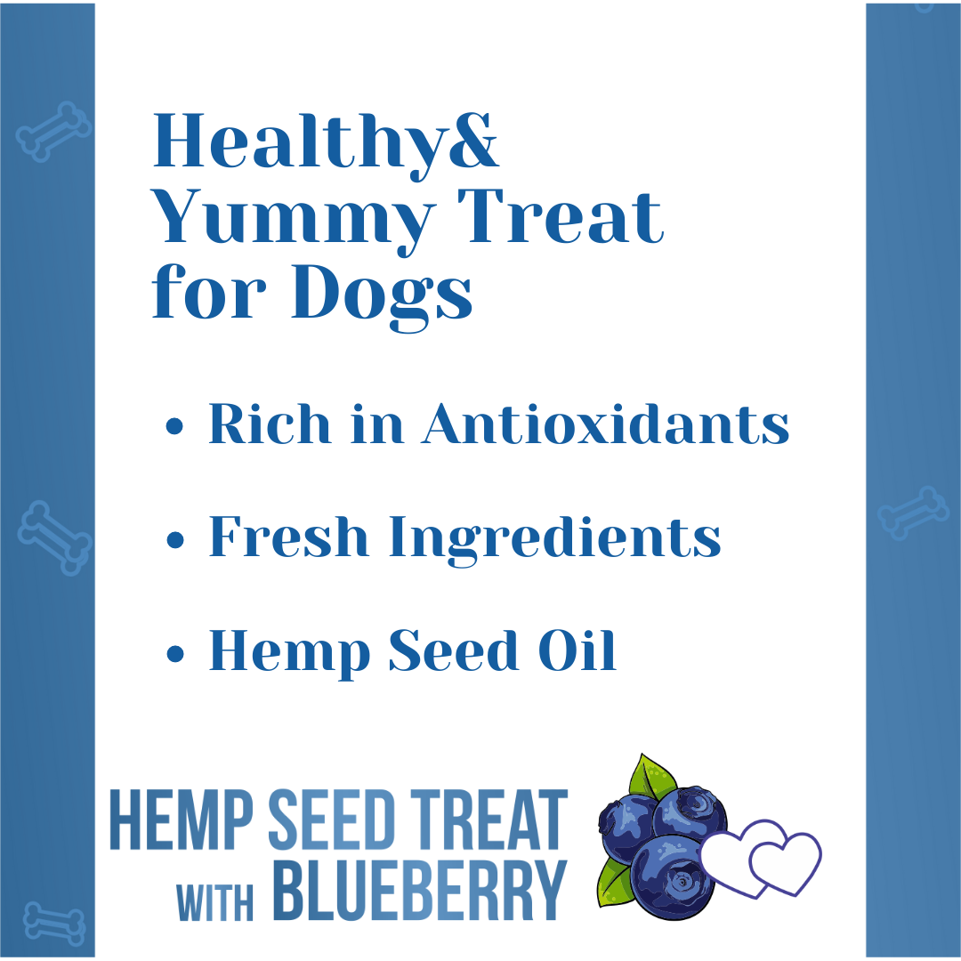 Healing Leaf Hemp Seed Vegetarian & Sustainable Dog Treat with Blueberry 100gm