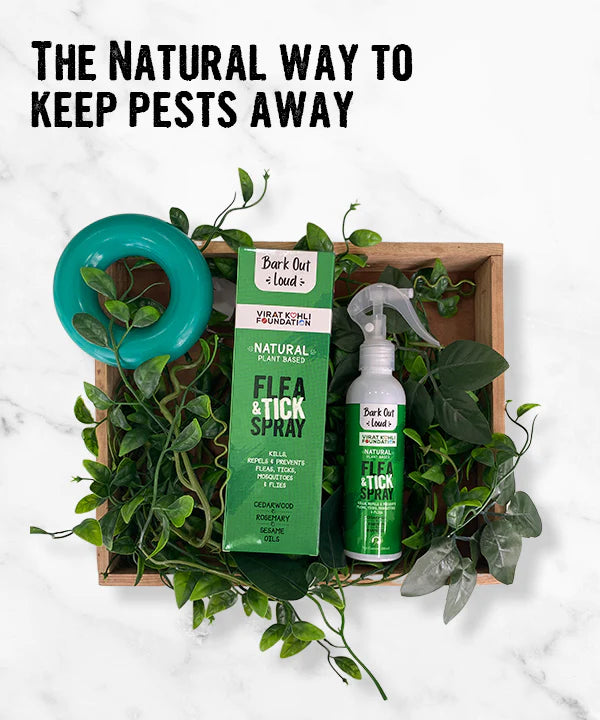 Vivaldis Bark Out Loud Natural Flea & Tick Spray Dogs and Cats 200ml