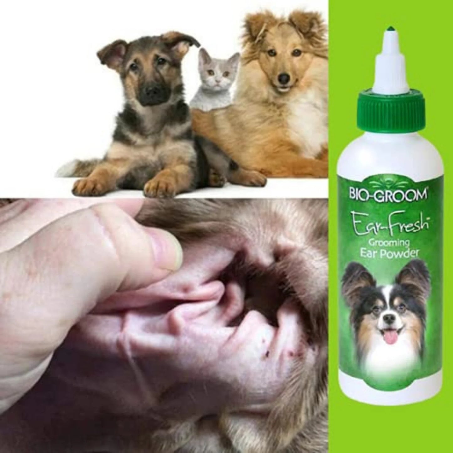 Bio-groom Ear Fresh Grooming Ear Powder for Dogs 24gm