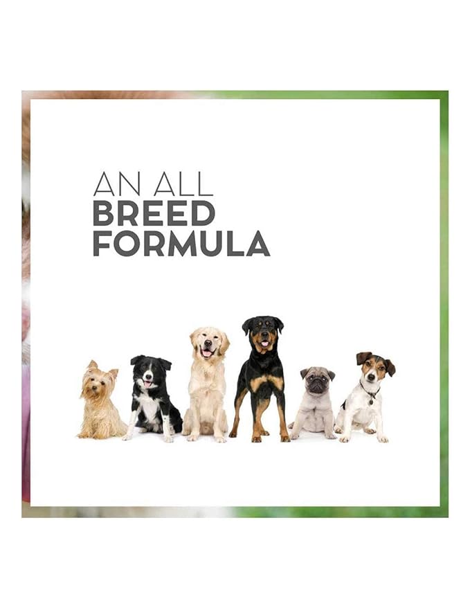 Drools Vet Pro hypoallergenic Dry Dog Food