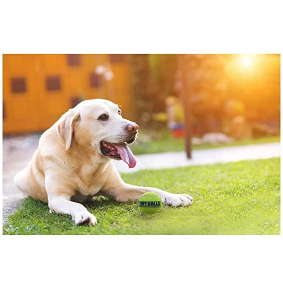 Petsport Tuff Mint Balls Toy For Dogs 2.5" 2pk
