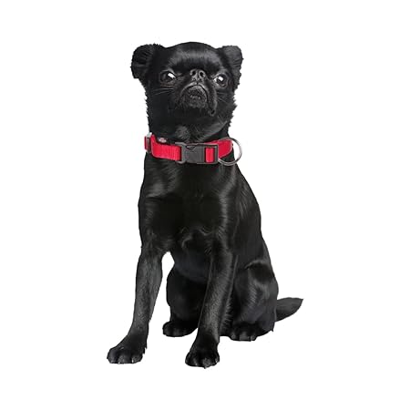 Trixie Classic Collar For Dogs Red M/L 35-55cm/20mm