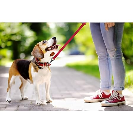 Trixie Classic Lead Fully Adjustable Red L-XL 1.20-1.80m-25mm