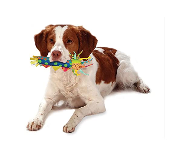 Petstages Cool Teething Stick Toy For Dogs