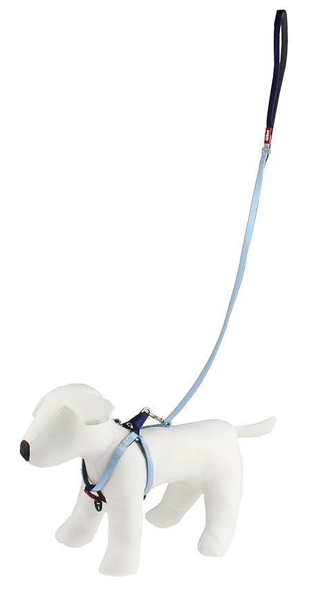 Gigwi Premium Line Durable H-Harness for Dogs Reflective Material Blue 10mmx20-40cm (Small)