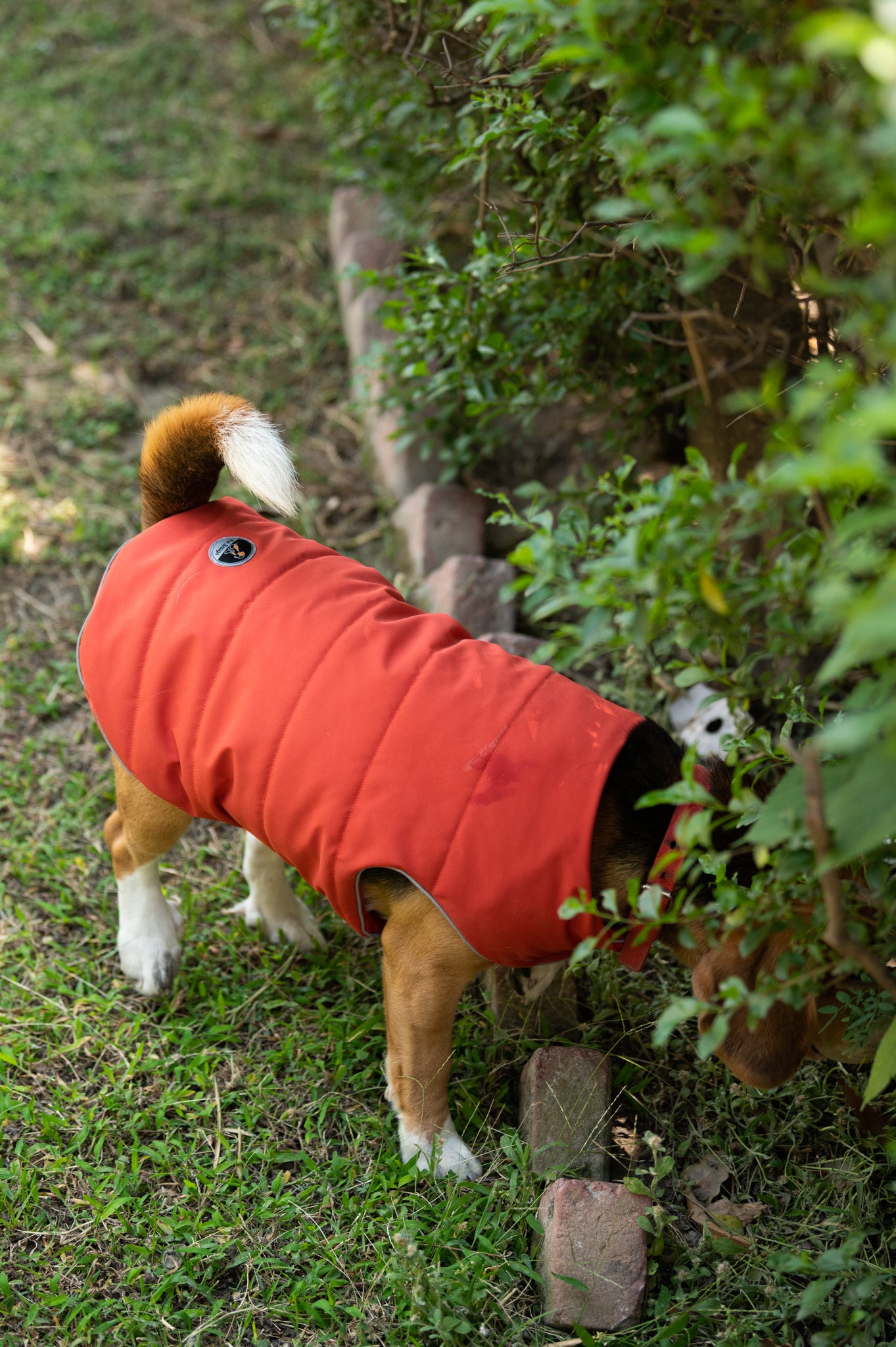 Pet Snugs Water-Resistant Top & Soft Cotton Lining Jacket For Your Furry Friend Rust Red