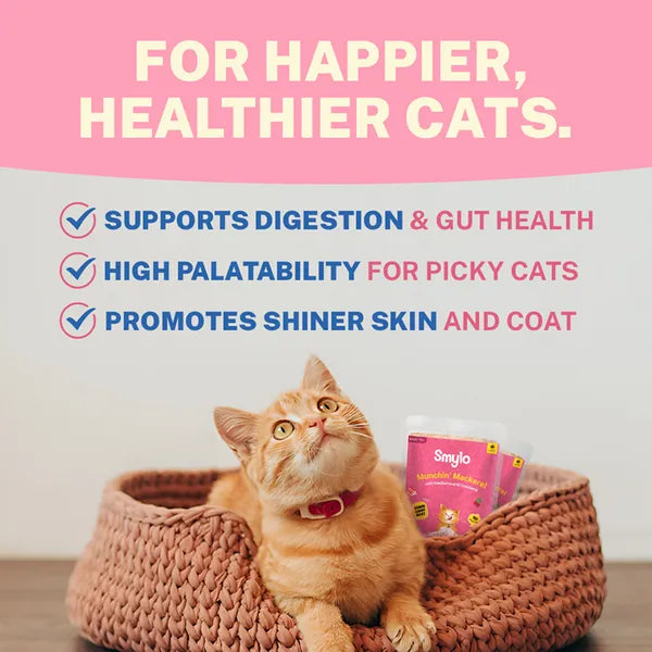 Smylo Adult Mackerel Kanikama & Cranberry, Fresh & No-Preservative Wet Cat Food 70g