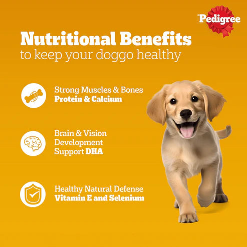 Pedigree Puppy Wet Dog Food Chicken & Liver Chunks in Gravy 70g x 7 490g