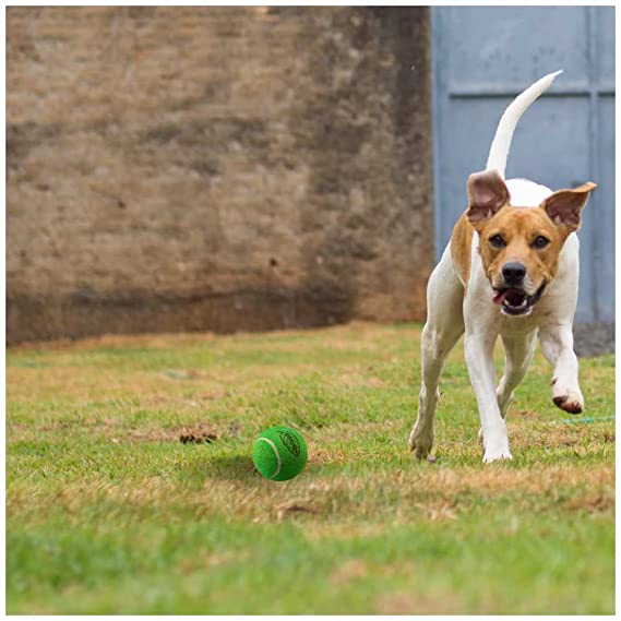 Petsport Tuff Mint Balls Toy For Dogs 2.5" 2pk