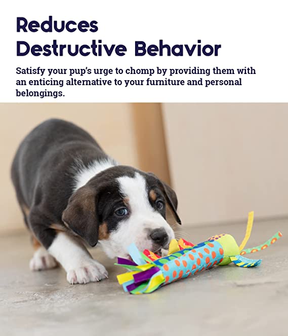 Petstages Cool Teething Stick Toy For Dogs