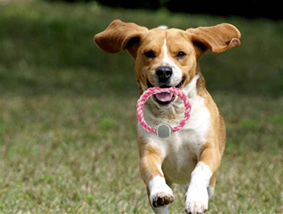 Trixie Ring Rope With Tennis Ball Toy For Dogs 18cm
